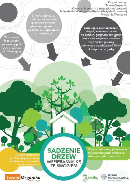 Infografika Sadzenie drzew. Infografika Sadzenie drzew.