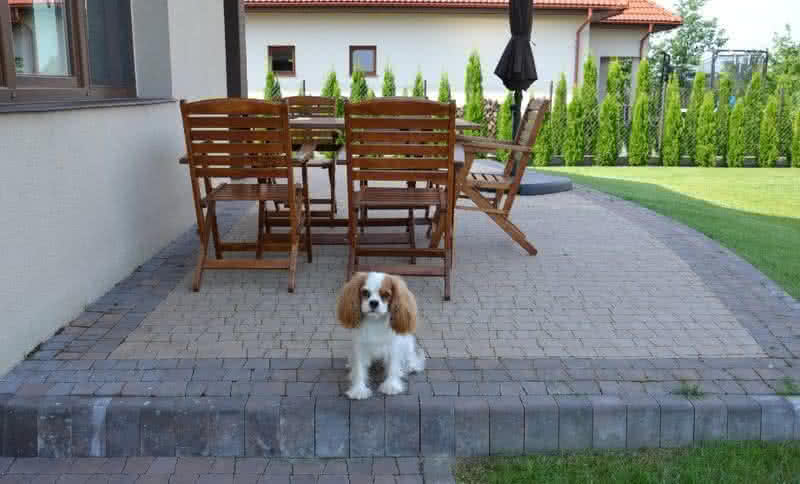 Taras na gruncie z kostki brukowej. fot. Lilianna Jampolska Taras na gruncie z kostki brukowej. fot. Lilianna Jampolska